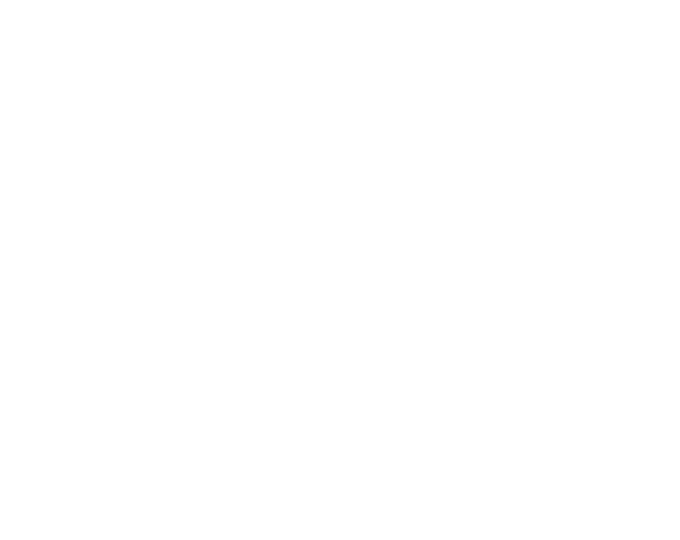 Logo Seat